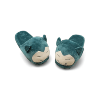Pokémon Slippers